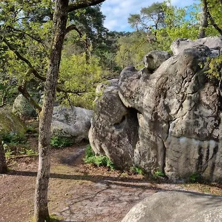 La Jungle Bellifontaine *