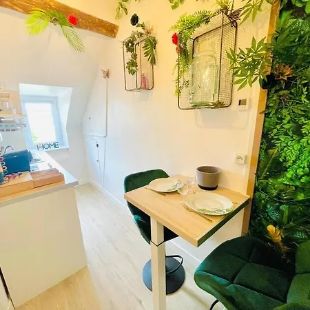 Apartment La Jungle Bellifontaine