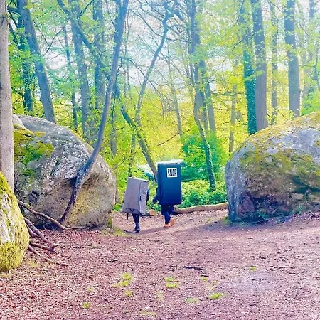 La Jungle Bellifontaine * Fontainebleau