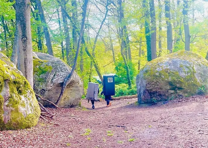 La Jungle Bellifontaine * Fontainebleau